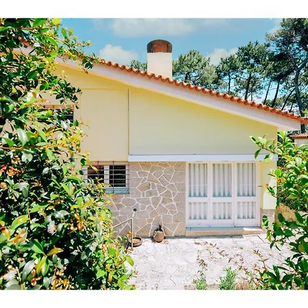 Regina Surf - Cabedelo Viana do Castelo