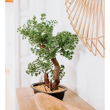 Villa Regina Surf - Cabedelo