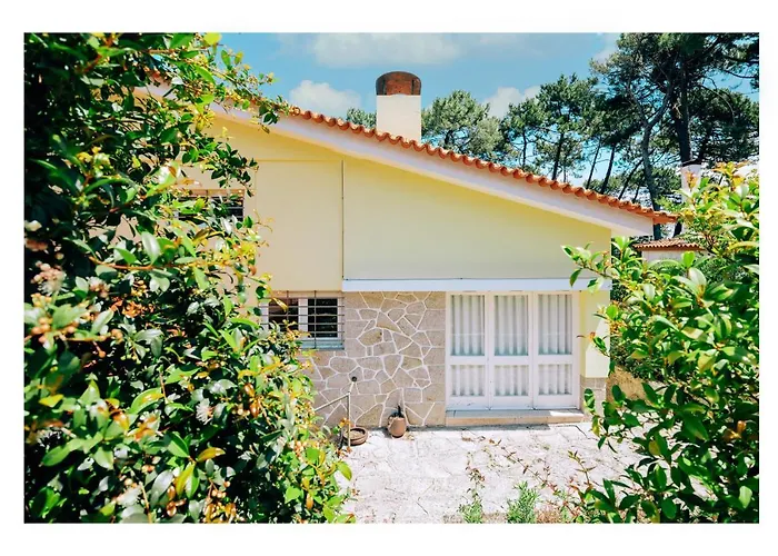 Regina Surf - Cabedelo Viana do Castelo