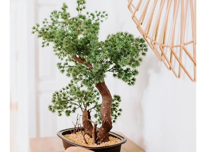 Villa Regina Surf - Cabedelo